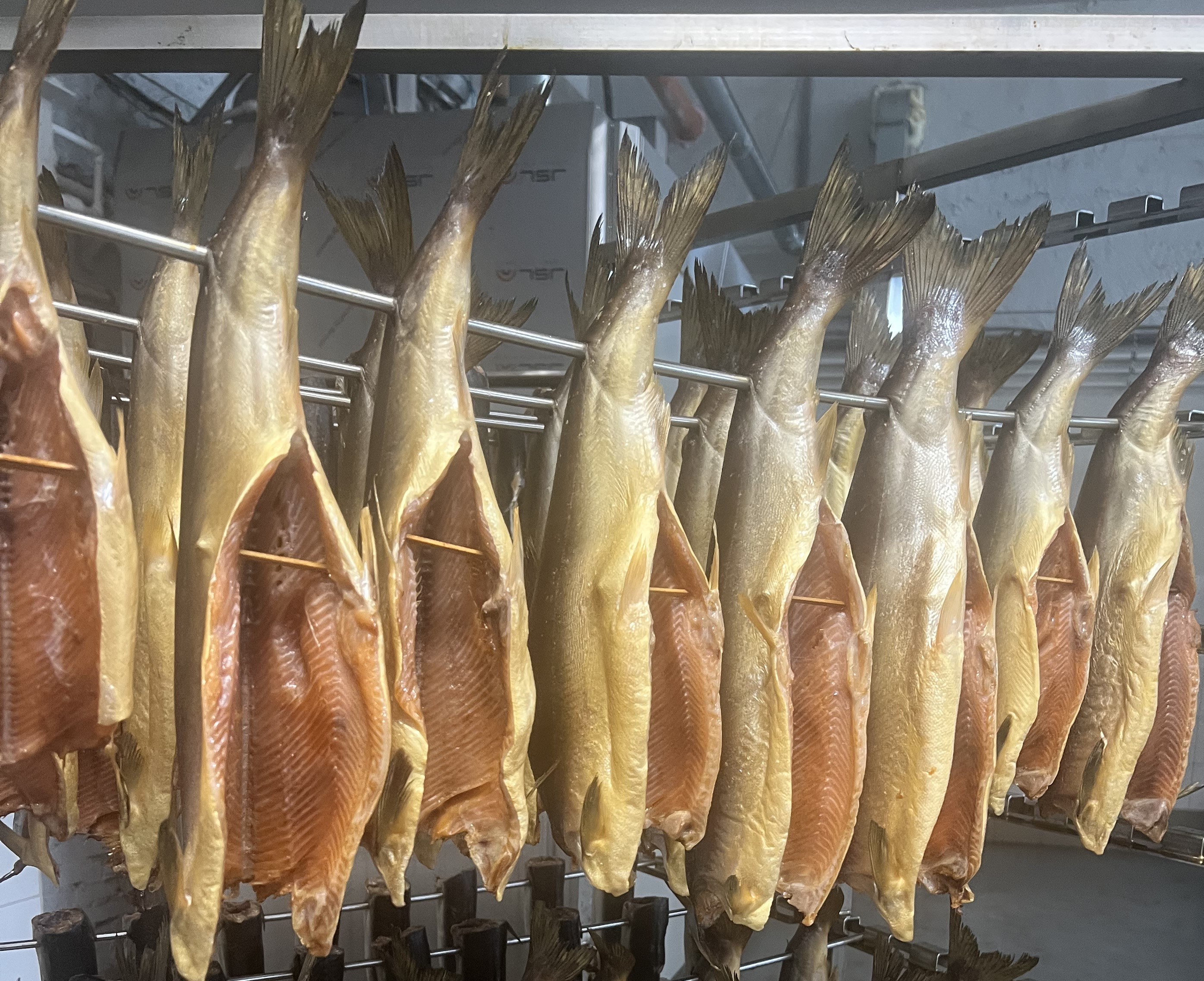 Горбуша тушка х/к