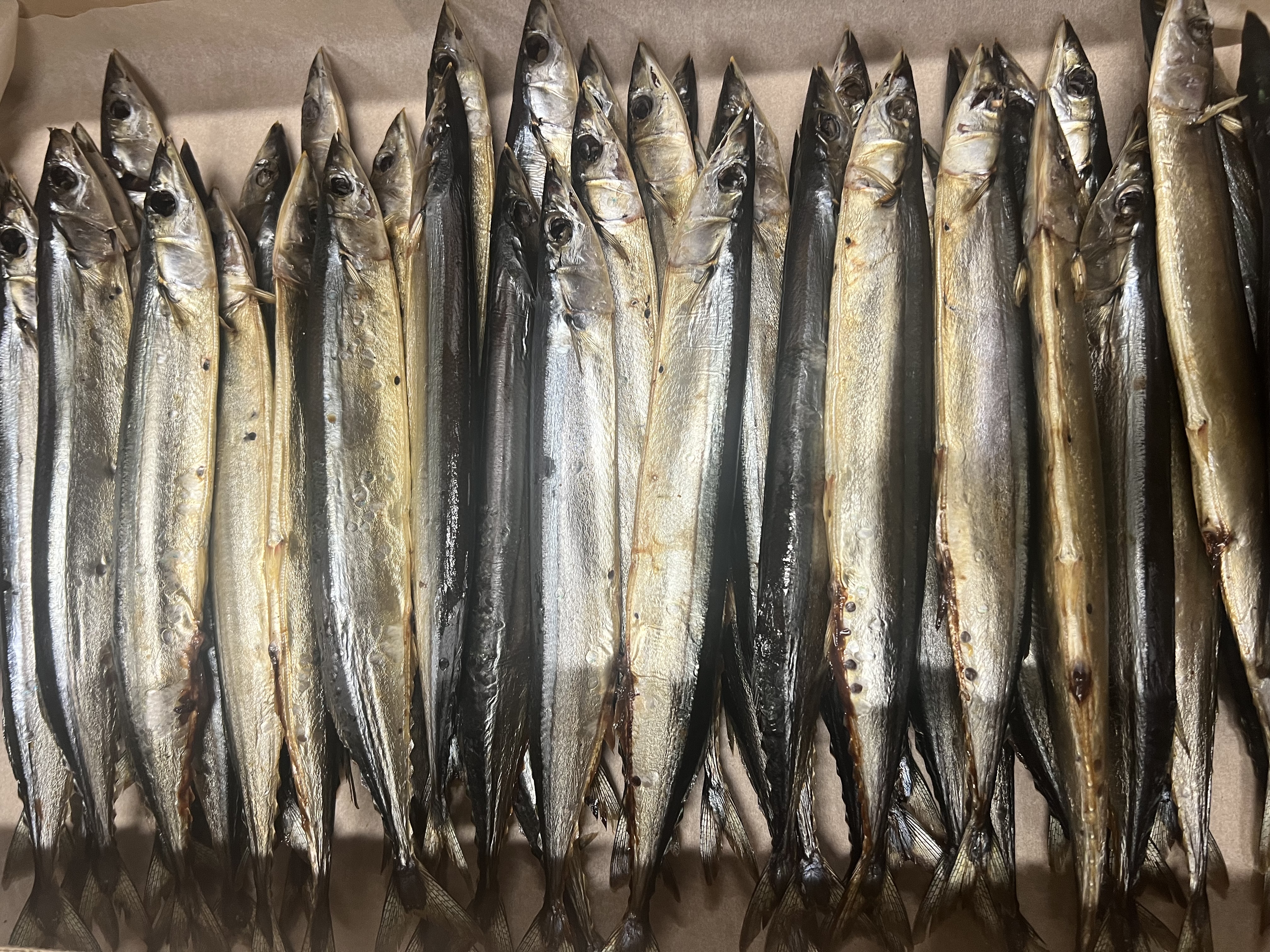 Сайра неразделанная х/к