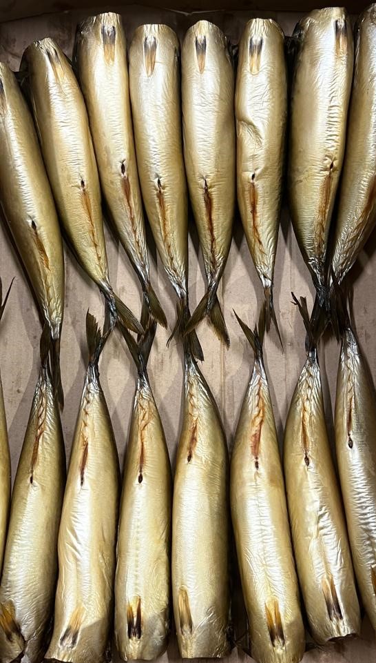 Скумбрия б/г х/к