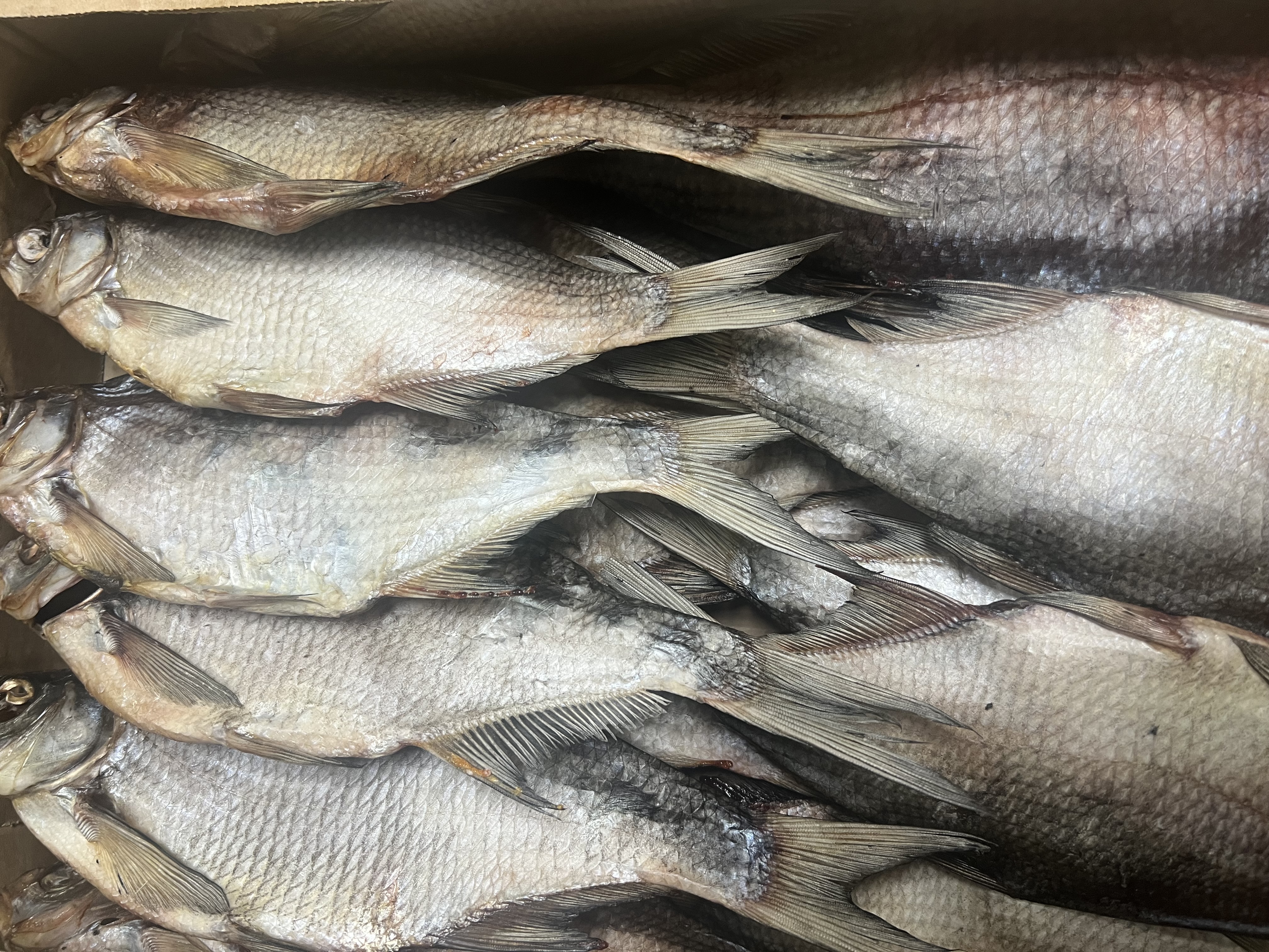 Лещ солено-сушеный